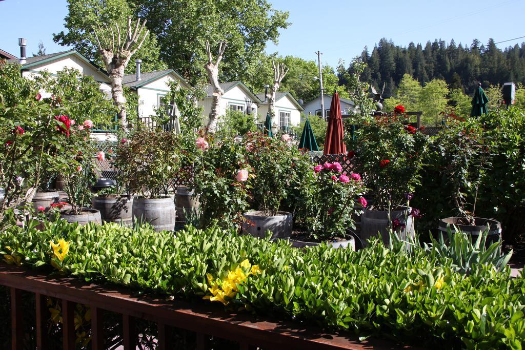 The Woods Hotel - Gay Lgbtq Cabins Guerneville Esterno foto